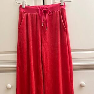 Dark Pink Velvet Pants Size Small